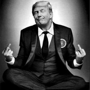 Meet your Posher, Dylan